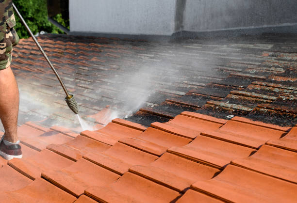 Best Garage Pressure Washing  in Covington, LA