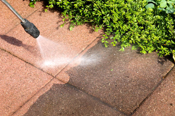 Local Pressure Washing Services in Covington, LA